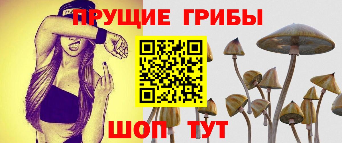Галлюциногенные грибы ЛСД  Вход с VPN  где купить наркоту  Грязи  Псилоцибиновые грибы мухоморы 