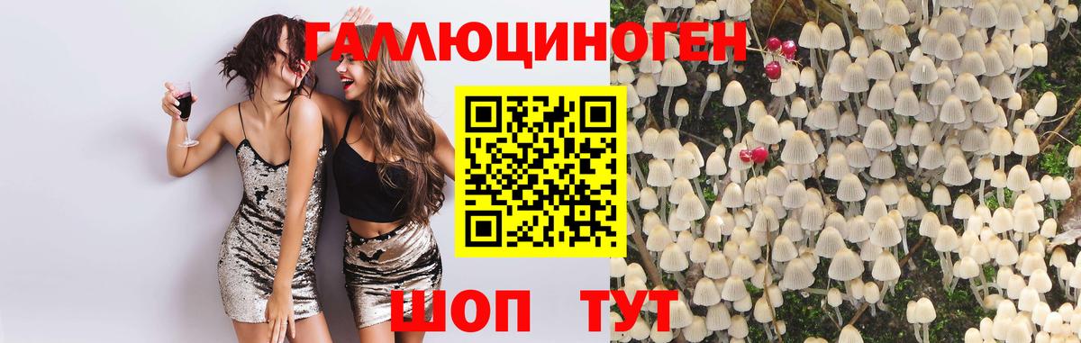 Галлюциногенные грибы Psilocybe Грязи
